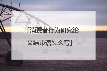 消费者行为研究论文结束语怎么写