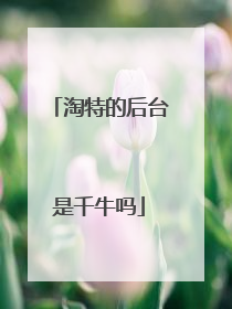 淘特的后台是千牛吗