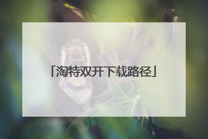 淘特双开下载路径