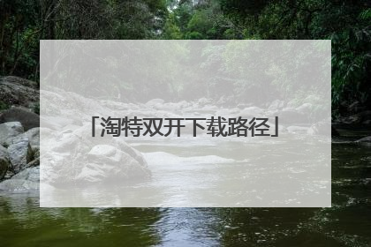 淘特双开下载路径