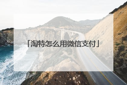 淘特怎么用微信支付