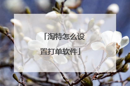 淘特怎么设置打单软件