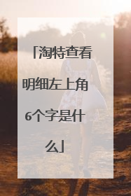 淘特查看明细左上角6个字是什么