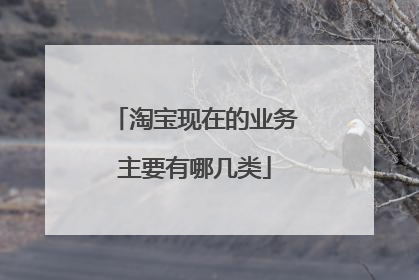 淘宝现在的业务主要有哪几类