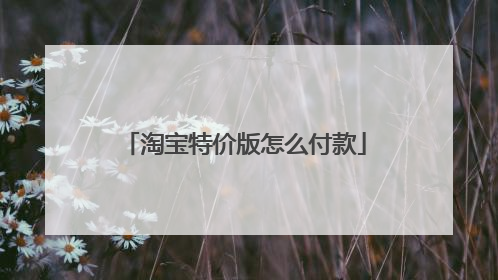 淘宝特价版怎么付款