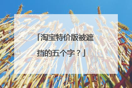 淘宝特价版被遮挡的五个字？