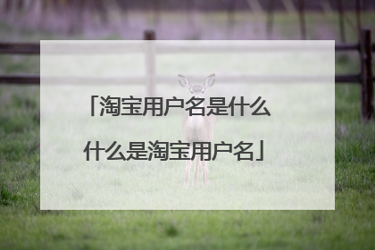 淘宝用户名是什么 什么是淘宝用户名