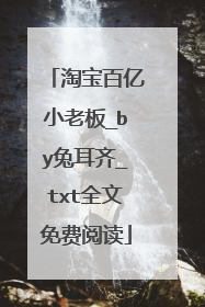 淘宝百亿小老板_by兔耳齐_txt全文免费阅读