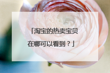 淘宝的热卖宝贝在哪可以看到？