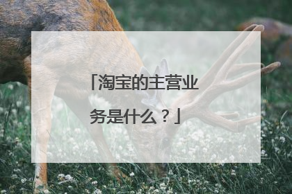 淘宝的主营业务是什么?