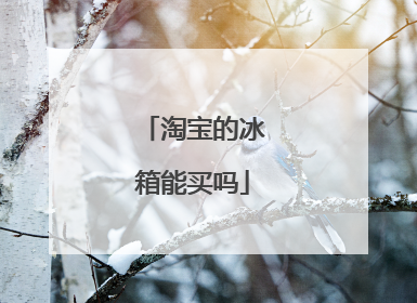 淘宝的冰箱能买吗