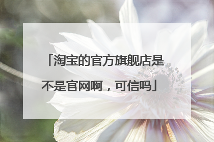 淘宝的官方旗舰店是不是官网啊,可信吗