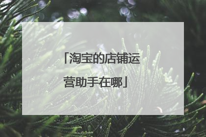 淘宝的店铺运营助手在哪