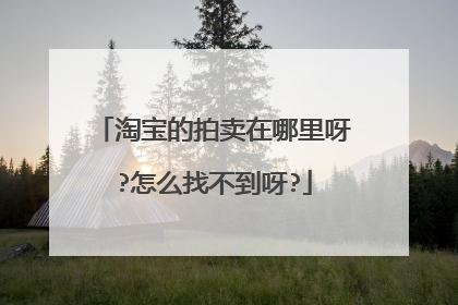 淘宝的拍卖在哪里呀?怎么找不到呀?