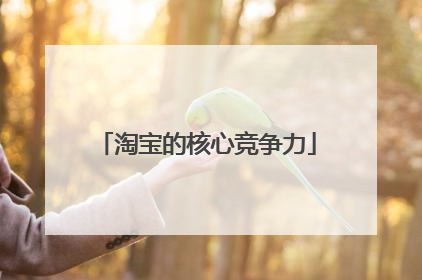 淘宝的核心竞争力