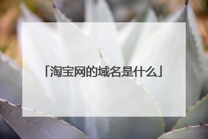 淘宝网的域名是什么