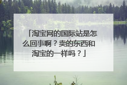 淘宝网的国际站是怎么回事啊?卖的东西和淘宝的一样吗?