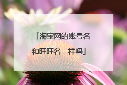 淘宝网的账号名和旺旺名一样吗