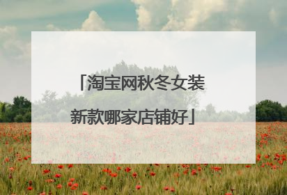 淘宝网秋冬女装新款哪家店铺好
