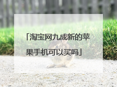 淘宝网九成新的苹果手机可以买吗