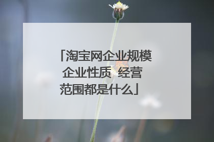 淘宝网企业规模 企业性质 经营范围都是什么