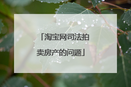淘宝网司法拍卖房产的问题