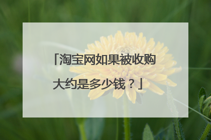 淘宝网如果被收购大约是多少钱?