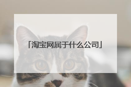 淘宝网属于什么公司