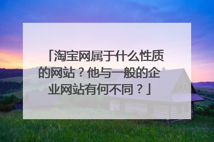淘宝网属于什么性质的网站?他与一般的企业网站有何不同?