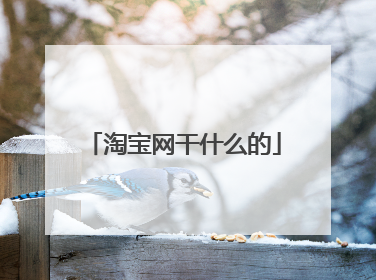 淘宝网干什么的