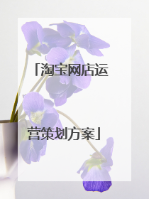淘宝网店运营策划方案