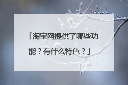 淘宝网提供了哪些功能?有什么特色?