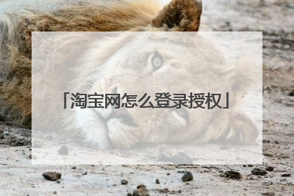 淘宝网怎么登录授权