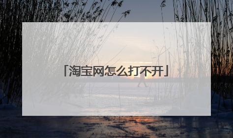 淘宝网怎么打不开