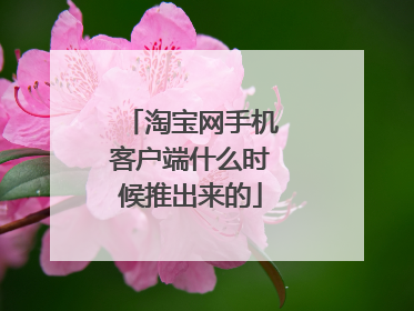 淘宝网手机客户端什么时候推出来的