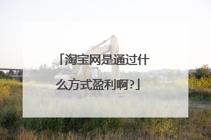 淘宝网是通过什么方式盈利啊?