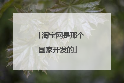 淘宝网是那个国家开发的