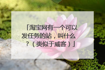 淘宝网有一个可以发任务的站,叫什么?(类似于威客)