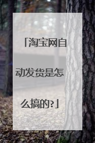淘宝网自动发货是怎么搞的?