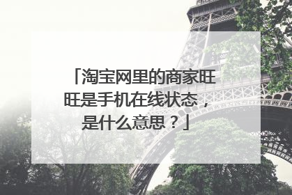 淘宝网里的商家旺旺是手机在线状态,是什么意思?