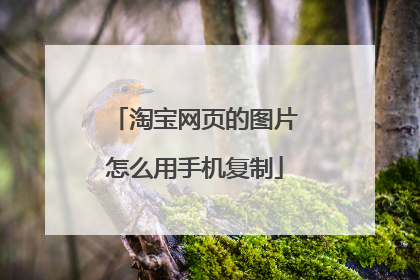 淘宝网页的图片怎么用手机复制