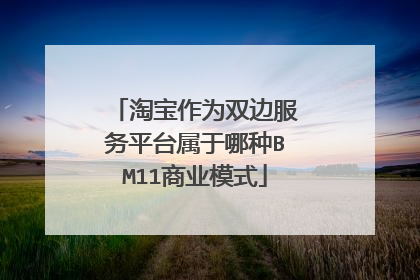 淘宝作为双边服务平台属于哪种BM11商业模式