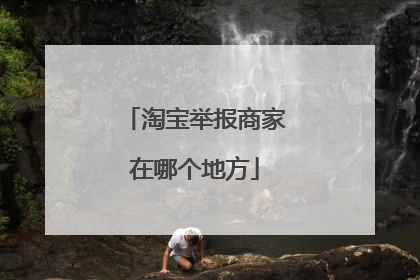 淘宝举报商家在哪个地方