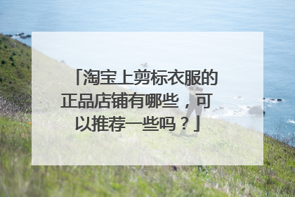 淘宝上剪标衣服的正品店铺有哪些,可以推荐一些吗?