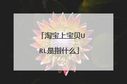 淘宝上宝贝URL是指什么