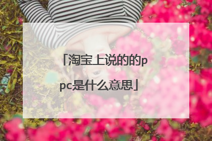 淘宝上说的的ppc是什么意思