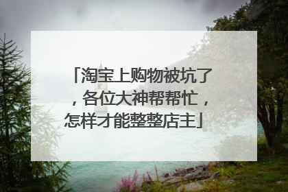 淘宝上购物被坑了,各位大神帮帮忙,怎样才能整整店主