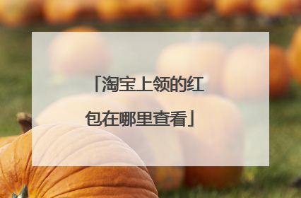 淘宝上领的红包在哪里查看