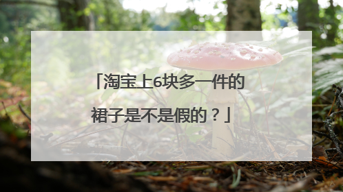 淘宝上6块多一件的裙子是不是假的？