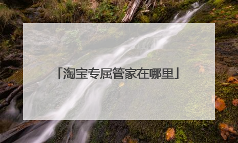 淘宝专属管家在哪里